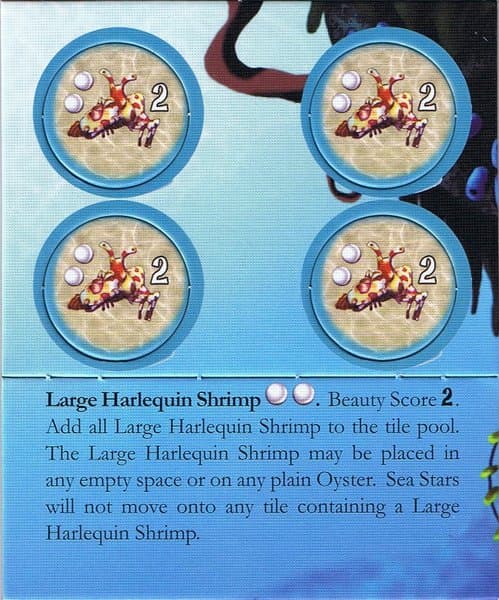 Octopus' Garden: Large Harlequin Shrimp