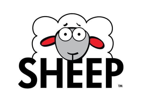 Sheep!