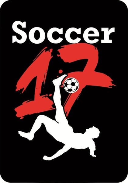 Soccer 17
