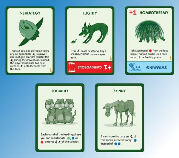 Evolution: Variation Mini-Expansion