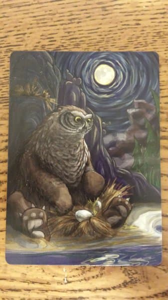 Birds of a Feather: Undomesticated Owl Bear Promo