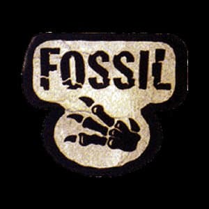 Pokémon TCG: Fossil Expansion