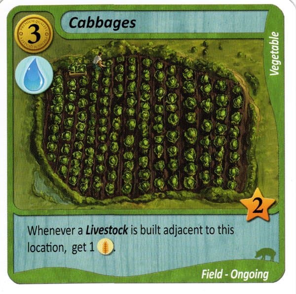 Fields of Green: Cabbages