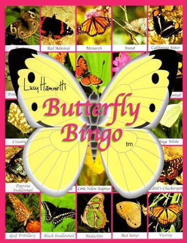 Butterfly Bingo