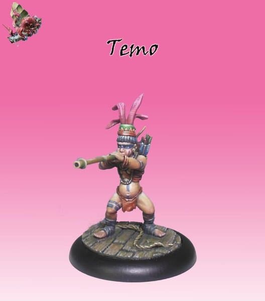 Bushido: Temo
