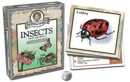 Professor Noggin's Insects and Spiders
