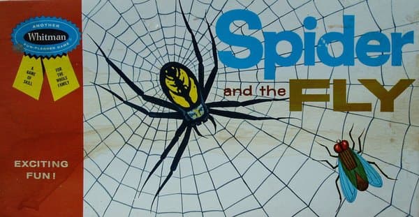 Spider and the Fly