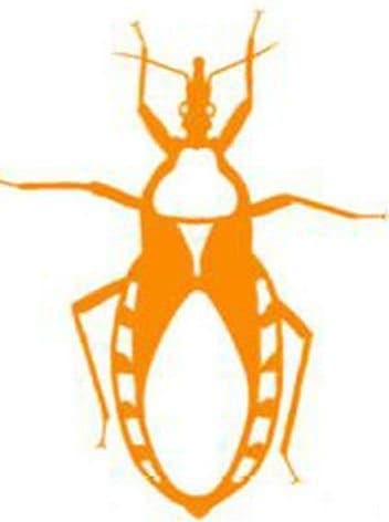 Assassin Bug (fan expansion for Hive)
