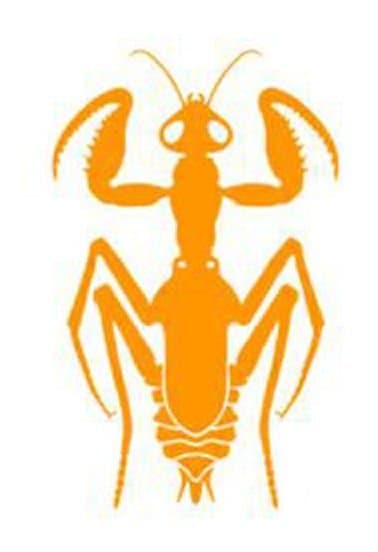 Praying Mantis (fan expansion for Hive)