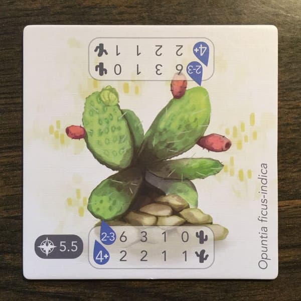 Petrichor: Cactus, Lake & Fertilizer