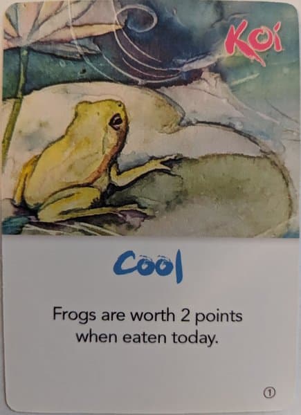KOI: Cool Weather Promo Card