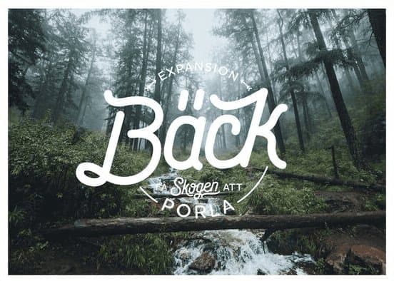 Skogen: Bäck Expansion