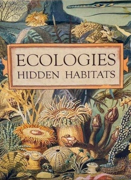 Ecologies: Hidden Habitats