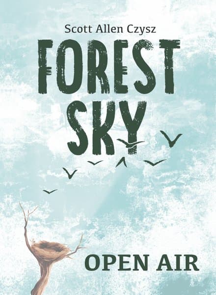 Forest Sky: Open Air