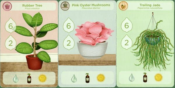Planted: Plants Promo