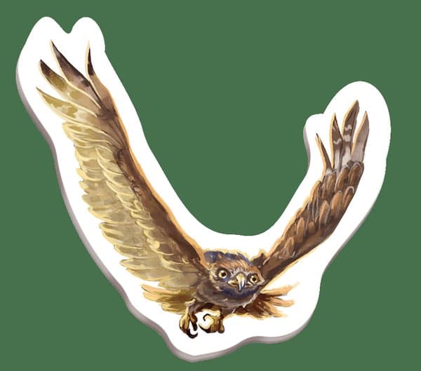 Redwood: The Majestic Bird of Prey