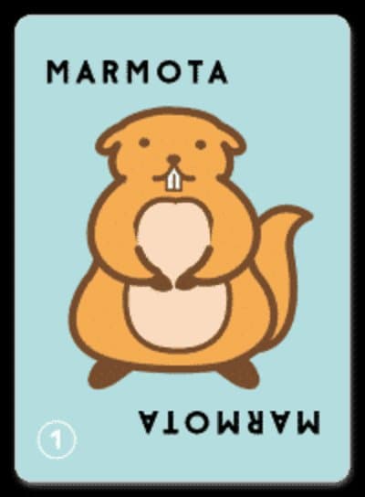 Taco Gato Cabra Queijo Pizza: Carta Especial Marmota 1