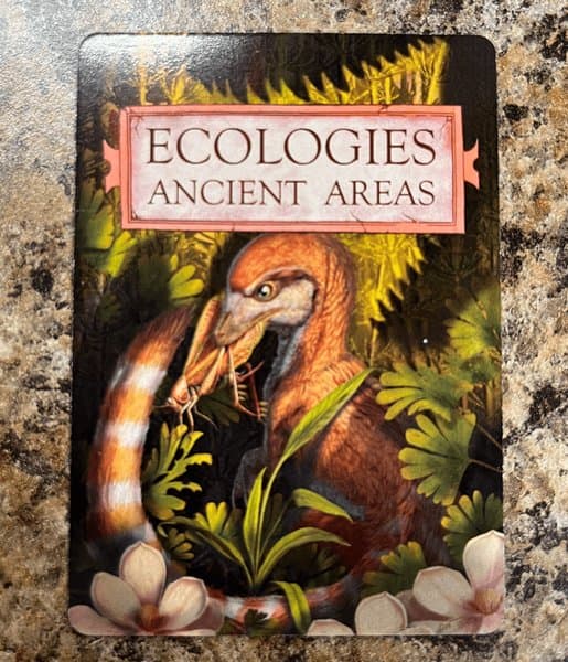 Ecologies: Ancient Areas