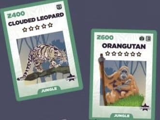 Zoo King: Clouded Leopard & Orangutan Promo cards
