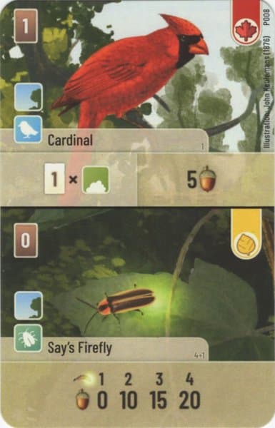 Forest Shuffle: Cardinal / Say's Firefly Promo Card