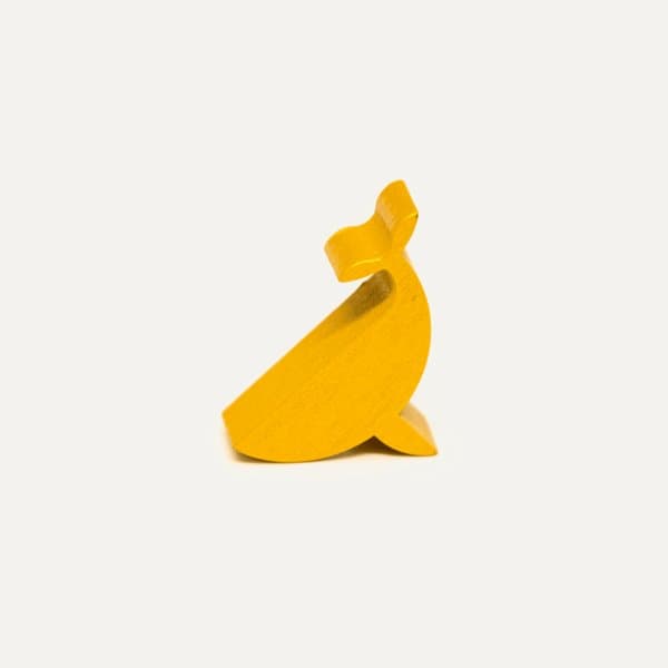 Whale to Look: Shachihoko
