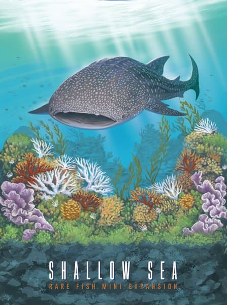 Коралловое море: Редкие виды