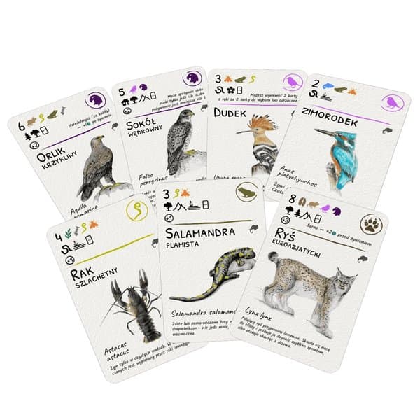 EcoLogic: Europe – Rare Animal Cards