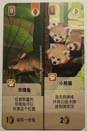 Forest Shuffle: Chinese Hare / Red Panda Promo Card