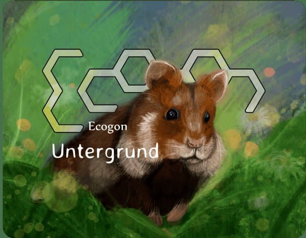 Ecogon: Untergrund