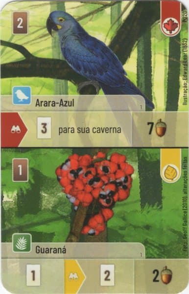 Forest Shuffle: Arara-Azul / Guaraná Promo Card