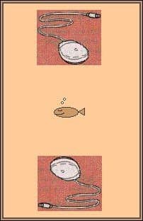Computer Go Fish