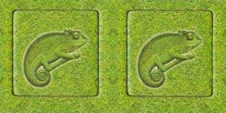 Zooloretto: Exotic – Chameleon